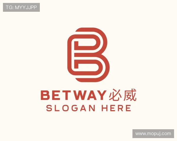关于bw必威西汉姆官网